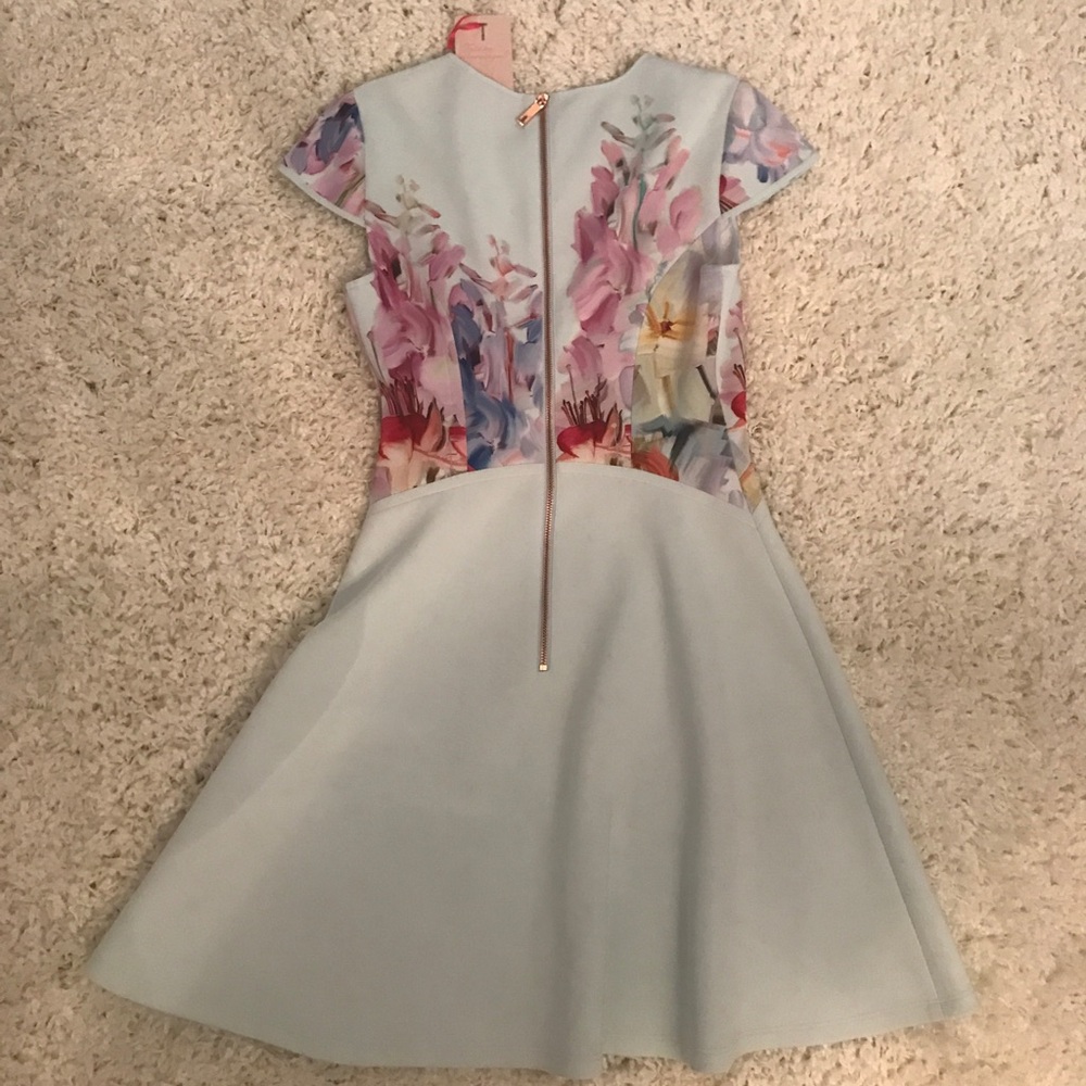 Ted Baker Pastel Mint Floral Fit-and-Flare Mini Dress - Picture 3 of 8